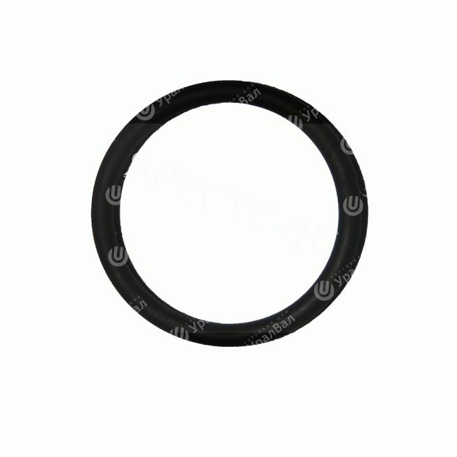 Q72324 Уплотнительное кольцо 